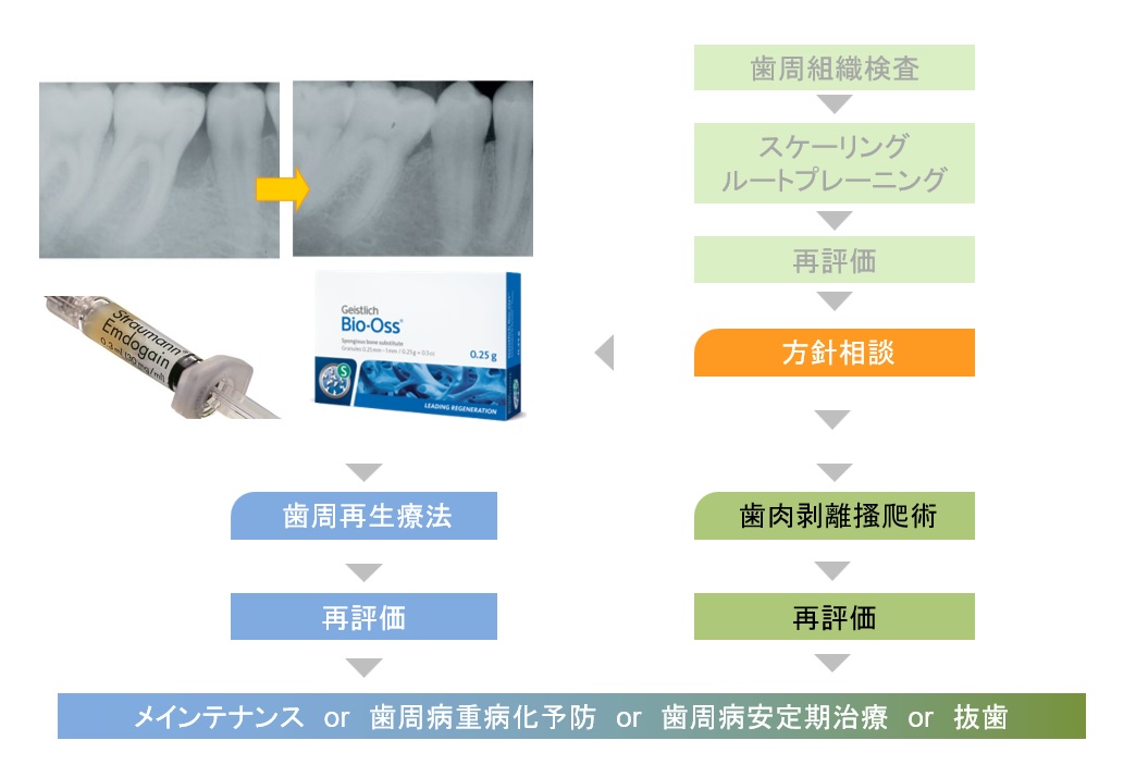 歯科外科について